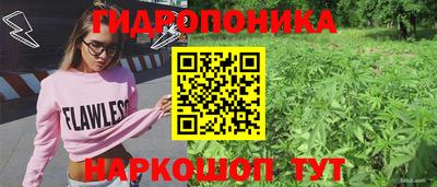 гидра Волгодонск