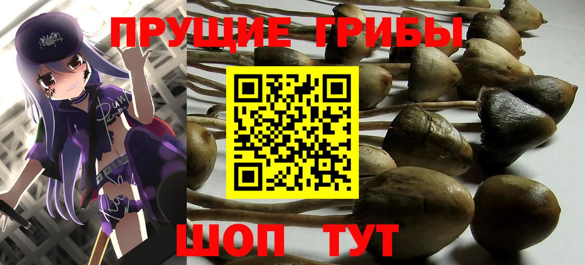 Псилоцибиновые грибы GOLDEN TEACHER Жигулёвск